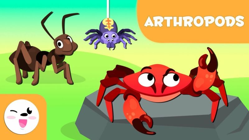 Do ants belong to the invertebrate category with jointed legs? - ZooNerdy