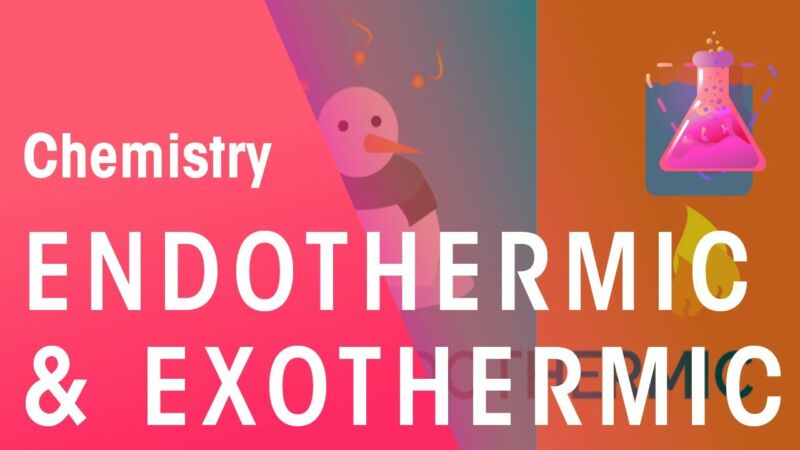 Do Fish Have Endothermic Or Ectothermic Characteristics? - ZooNerdy