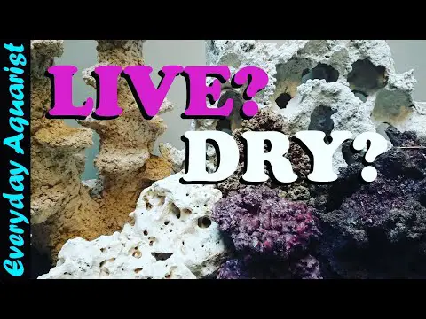 What Is Live Rock Used For In Saltwater Aquariums? - ZooNerdy