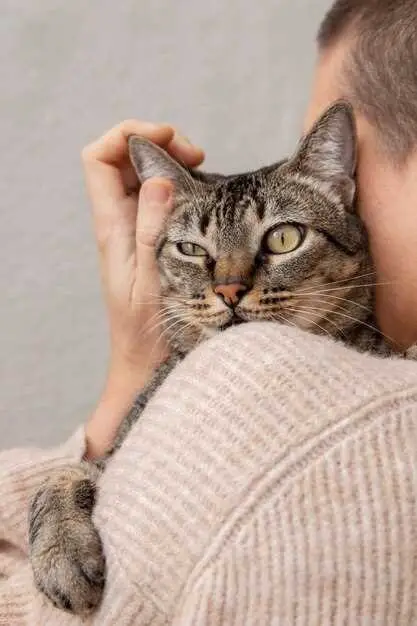 katės gali pajusti, ar žmogus geras, ar blogas