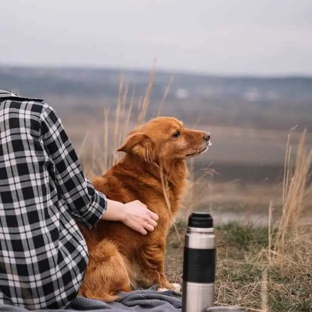 Can Dogs Eat Peanut Butter With Honey