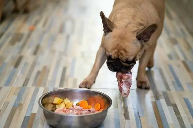 შეუძლიათ თუ არა ძაღლებს სარდინის ჭამა ტომატის სოუსში