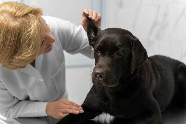 Can You Use Dog Ear Mite Medicine on Cats