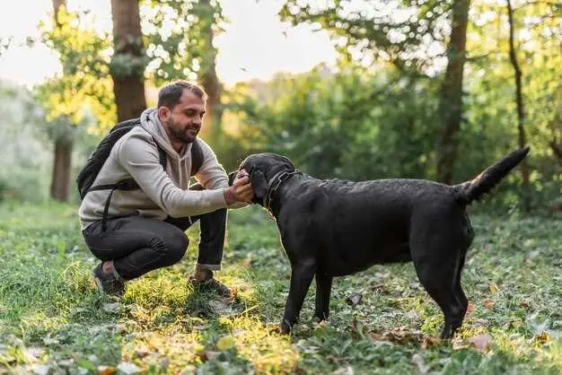 kunnen Duitse herders met kleine honden overweg?