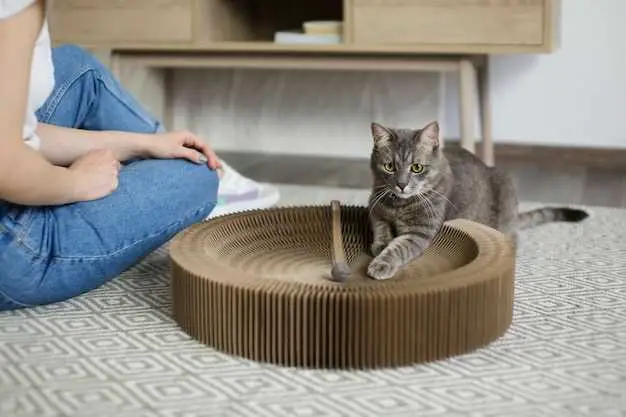 cleaning-cat-urine-wood-floor-floor-roma