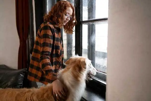 How to Protect Window Sills From Dogs