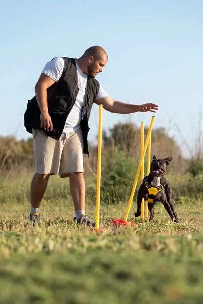 Steps to Teach Your Dog to Lift Leg When Peeing
