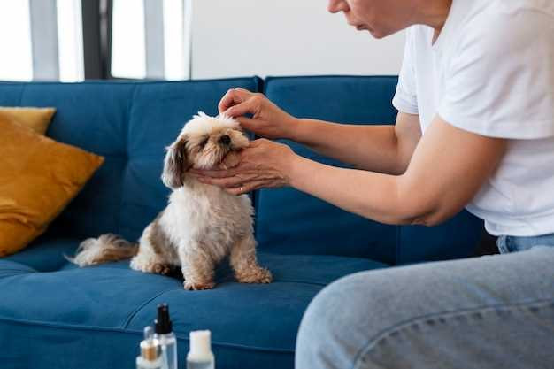 what-human-conditioner-can-i-use-on-my-dog