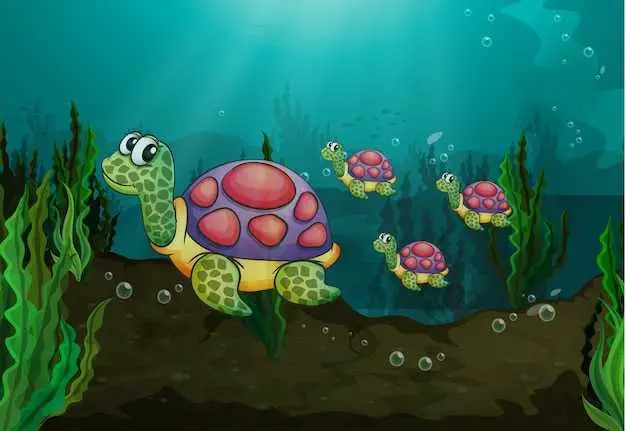 com es diu un grup de tortugues marines